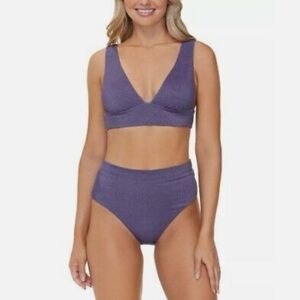 NWT Raisins Purple Shimmery Cheeky Bikini Set